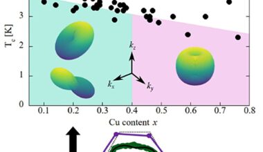 Superconductivity distorts crystal lattice of topological quantum materials