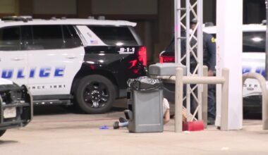 2 detained after allegedly pointing laser, shooting at DPS helicopter in Dallas