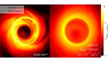 Event Horizon Telescope images reveal new dark matter detection method