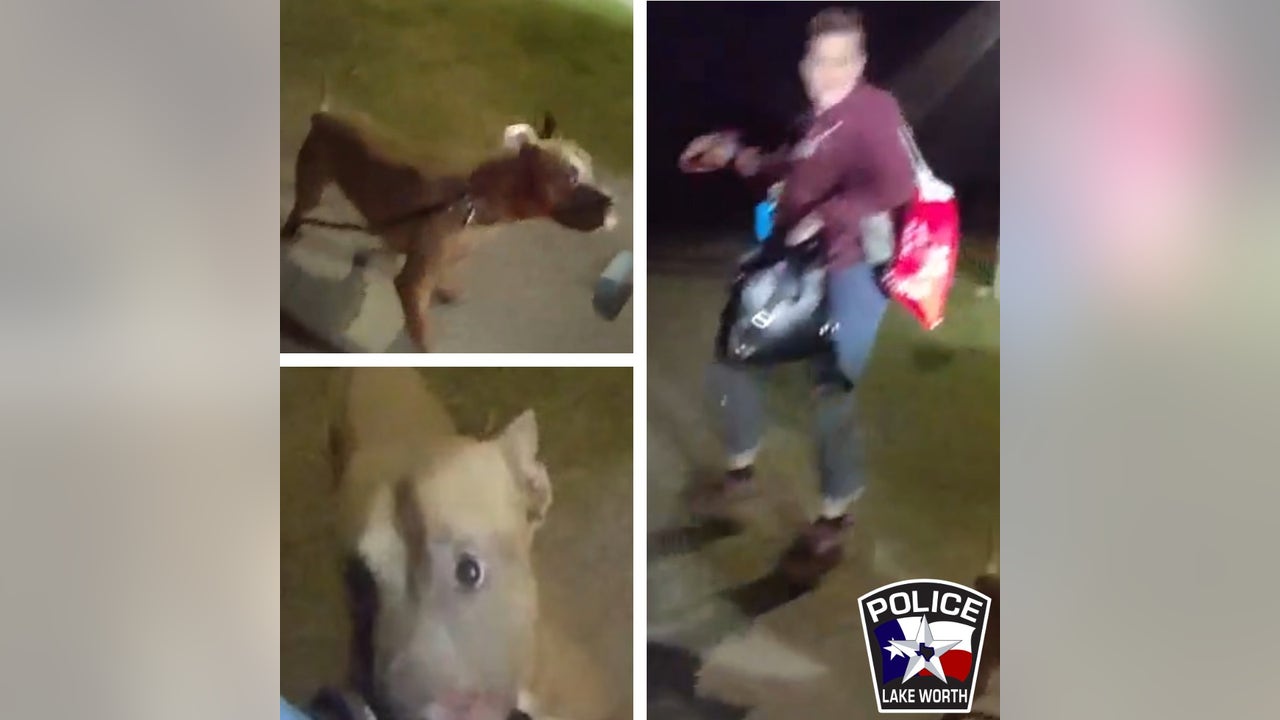 Lake Worth police investigating dog park attack