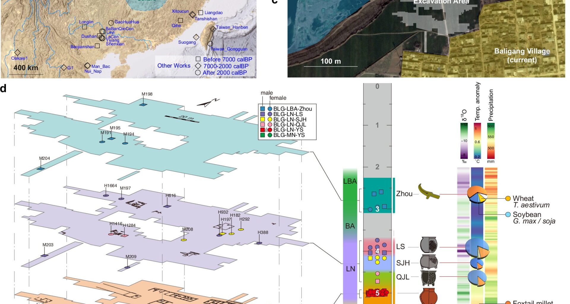 Ancient DNA reveals prehistoric connections and a patrilineal society in early China