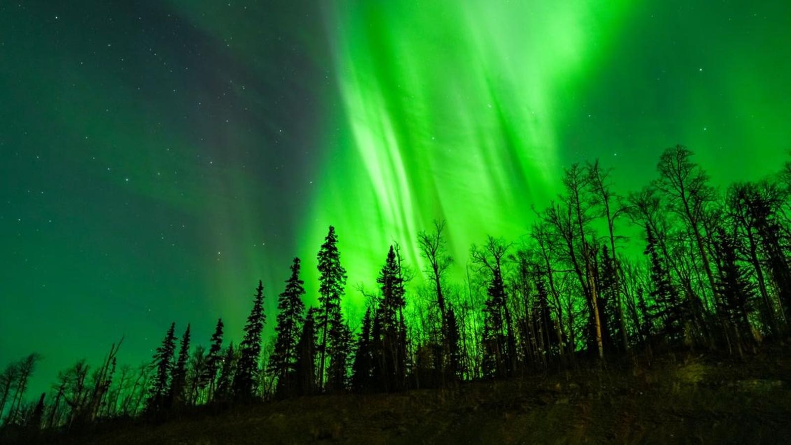 These 10 States Could See Aurora Borealis Tonight
