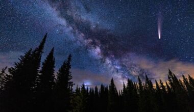 When And Where To See Two Comets After Dark