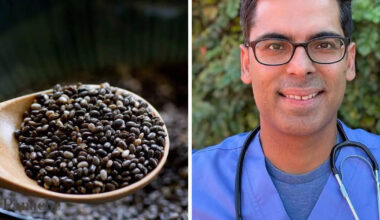 What happens to your body if you eat chia seeds for 14 days continuously? Harvard gastro specialist has the answer