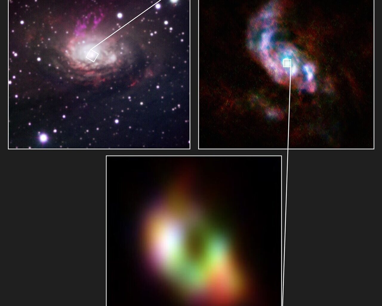 Greedy black hole feeds via two spiral arms
