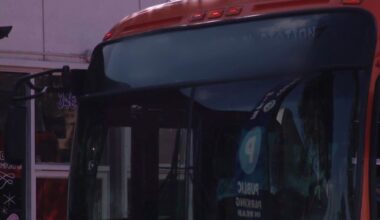 Los Angeles Metro bus rider stabbed in neck; Suspect on the run