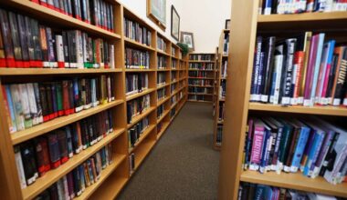 Audit: More stringent selection policies could lead to less 'sensitive materials' in school libraires