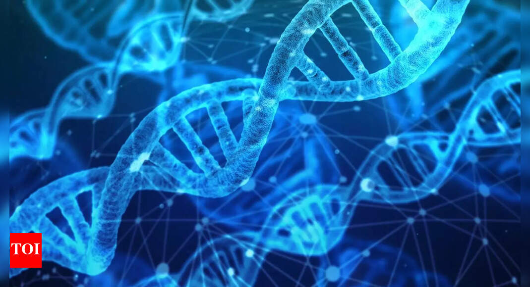 “Google for DNA”: Scientists create the world’s first and fastest genetic search engine |