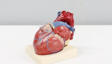 How much exercise is too much for your heart? Cardiologist warns which workout may even 'cause heart scarring'