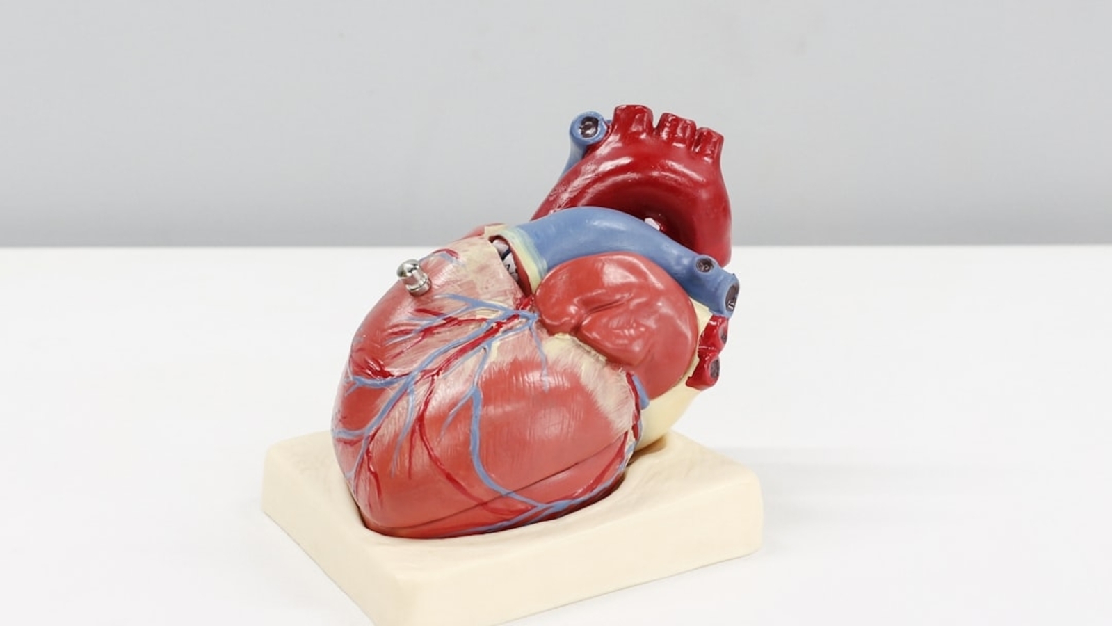 How much exercise is too much for your heart? Cardiologist warns which workout may even 'cause heart scarring'