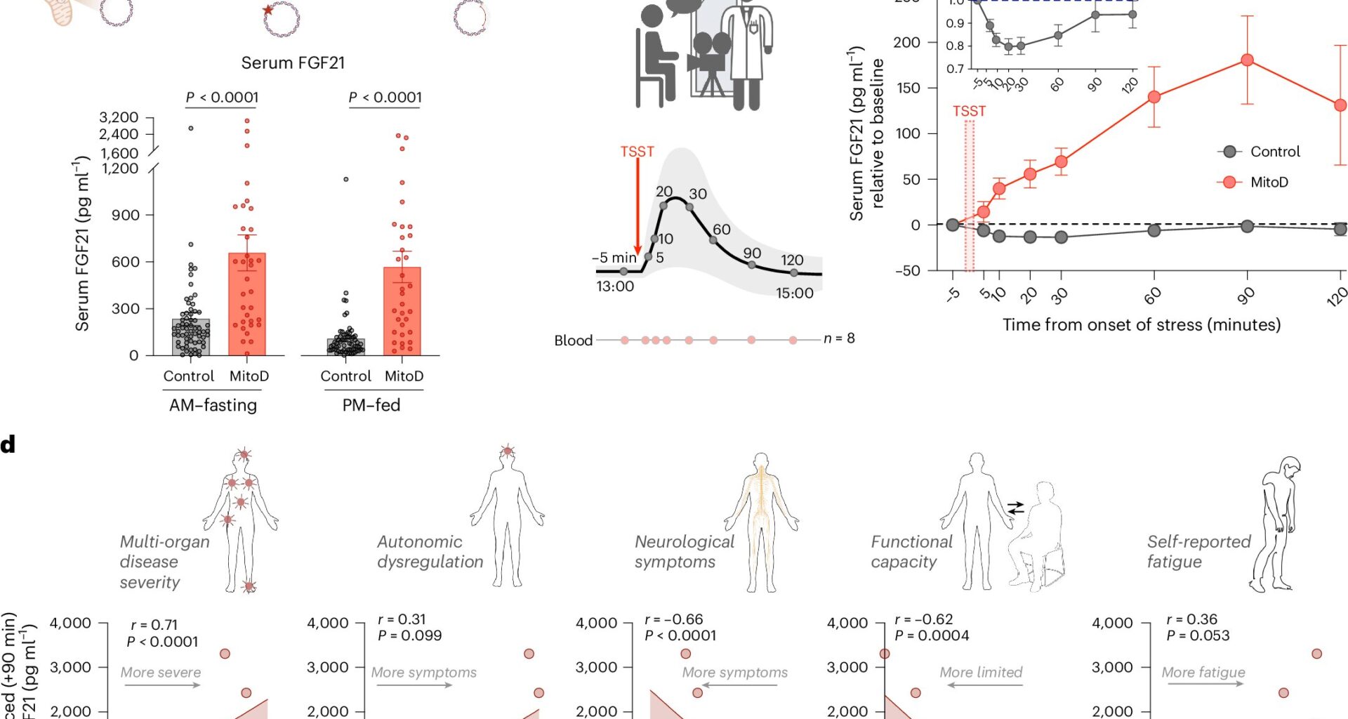 Stress alters metabolic hormone with health consequences, study shows