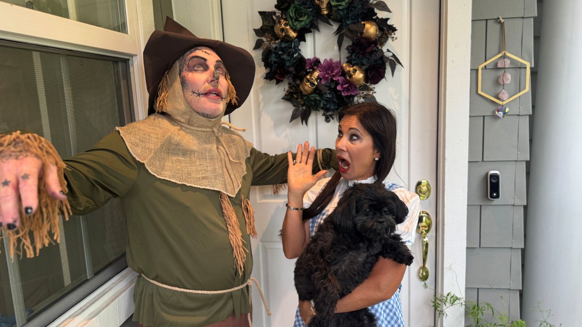 the ultimate guide to fake gore! – NBC Los Angeles