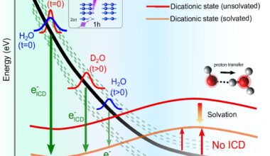 Generation of harmful slow electrons in water is a race between intermolecular energy decay and proton transfer