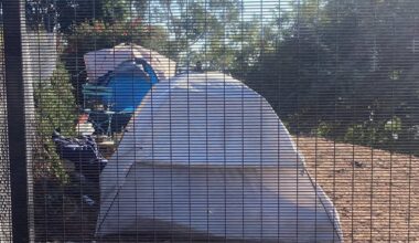 Lemon Grove closes encampment, moves 30 people into stable housing