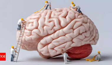 Exercise for brain health: This is the exact amount of exercise required per week to sharpen memory, increase brain power |