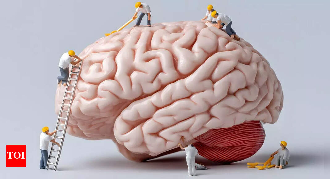 Exercise for brain health: This is the exact amount of exercise required per week to sharpen memory, increase brain power |