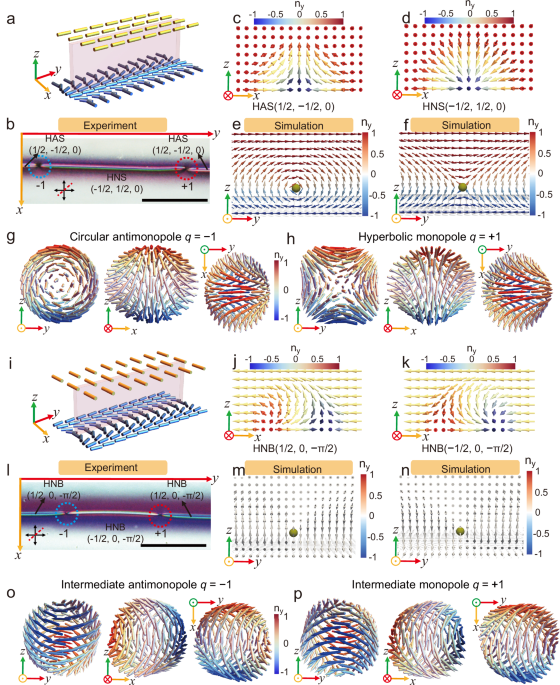Monopole-mediated light control of half skyrmion topology in nematic liquid crystals