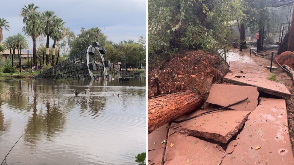 The Phoenix Zoo will be closed for the next two days to focus on cleanup and restoration efforts.
