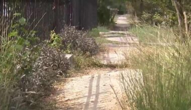 North Side neighbors push city to fix dangerous sidewalks