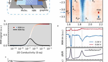 Local microwave sensing of excitons and their electrical environment
