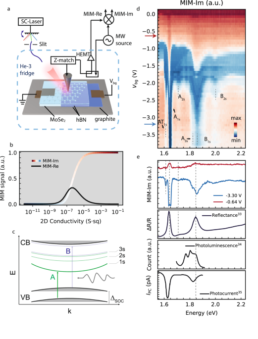 Local microwave sensing of excitons and their electrical environment
