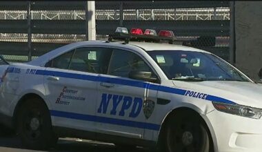 24-year-old man shot, killed inside Brooklyn building: NYPD