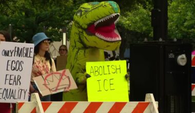Anti-ICE, anti-fascist signs popular at North Texas 'No Kings' protests