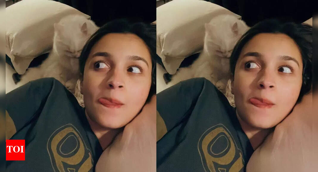 When pregnant Alia Bhatt spent Diwali in bed with pet cat Edward, just days before daughter Raha’s birth | Hindi Movie News