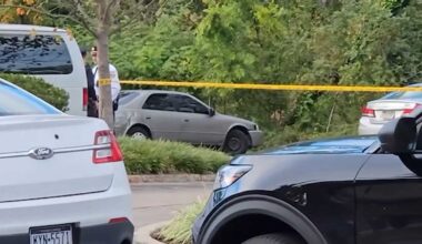 Remains found in shallow grave