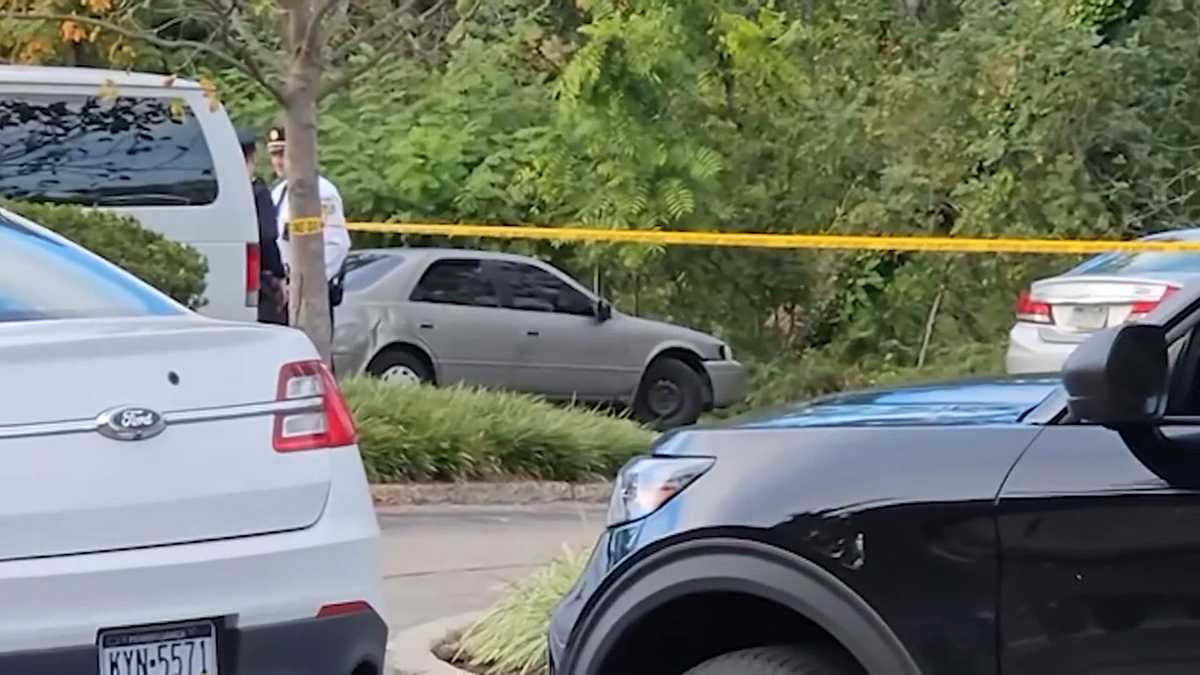 Remains found in shallow grave