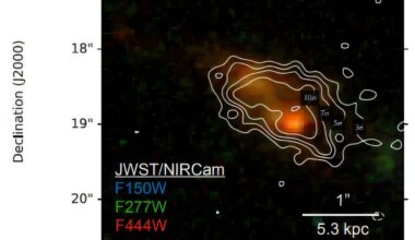 Distant galaxy A1689-zD1 found to have unusually low dust-to-gas ratio