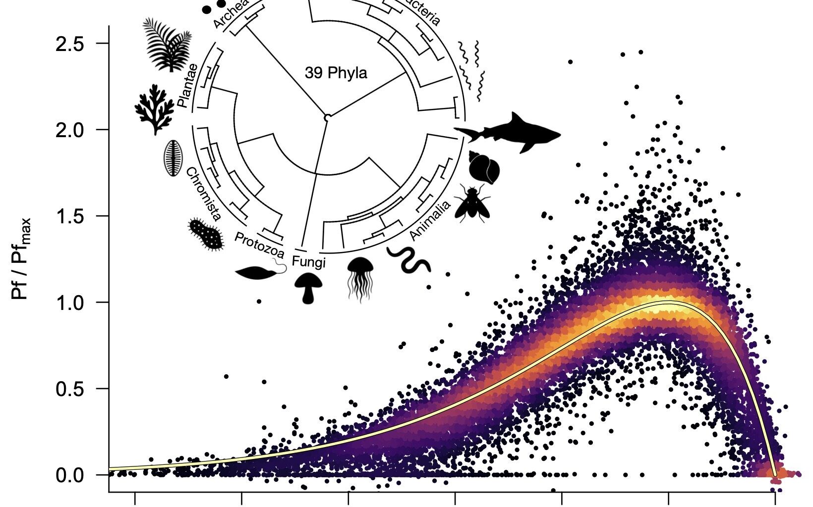 The 'universal thermal performance curve' that shackles evolution