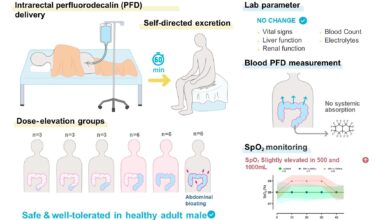 IgNobel 'Butt Breathing' idea from 2024 moves closer to real treatment