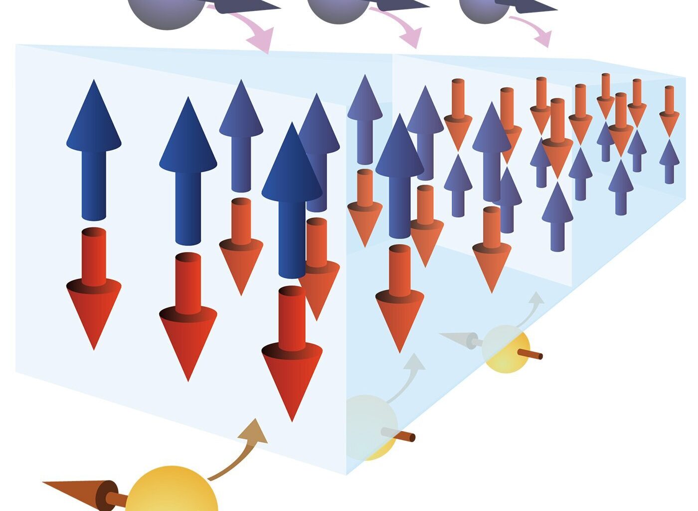 Dual torque from electron spins drives magnetic domain wall displacement