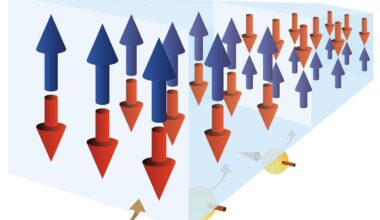 Dual torque from electron spins drives magnetic domain wall displacement