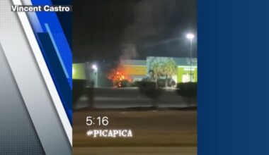 SAFD investigating after palm trees set on fire at PicaPica Plaza
