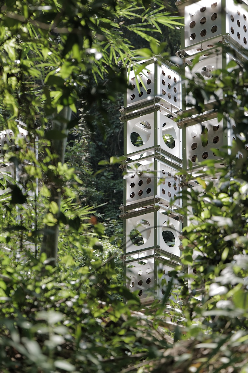 industrial modules and organic soil build architectural installation that grows with the forest