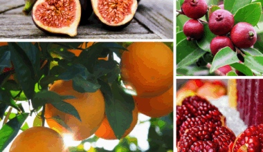 Historic brunch, brews, scoops — and a tree giveaway, too