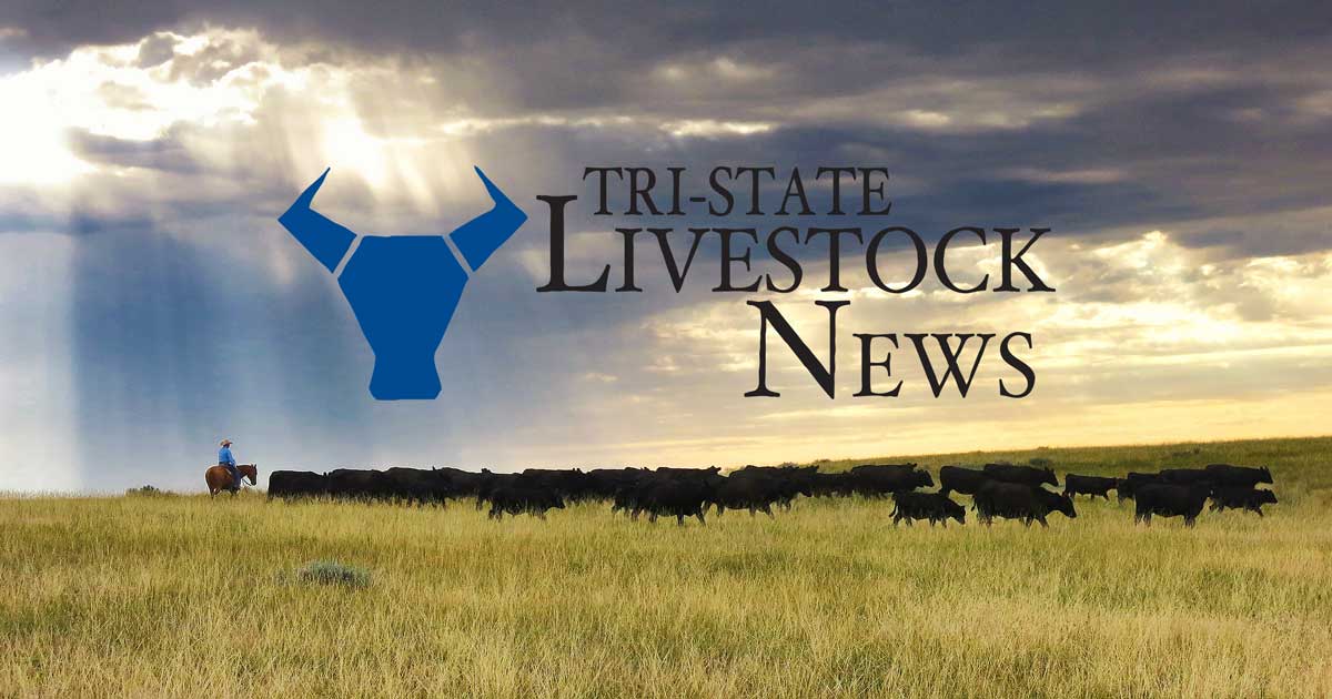 R-CALF: Has the Beef Market Failed?