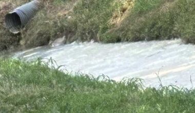 After 100 gallons of coconut lotion spilled in bayou, a Houston cosmetics company now faces corporate felony