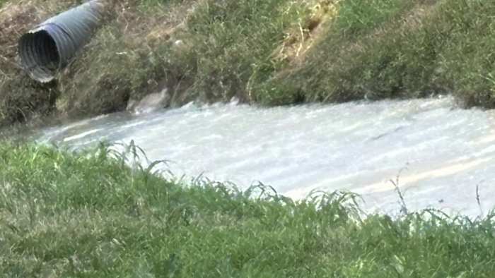 After 100 gallons of coconut lotion spilled in bayou, a Houston cosmetics company now faces corporate felony