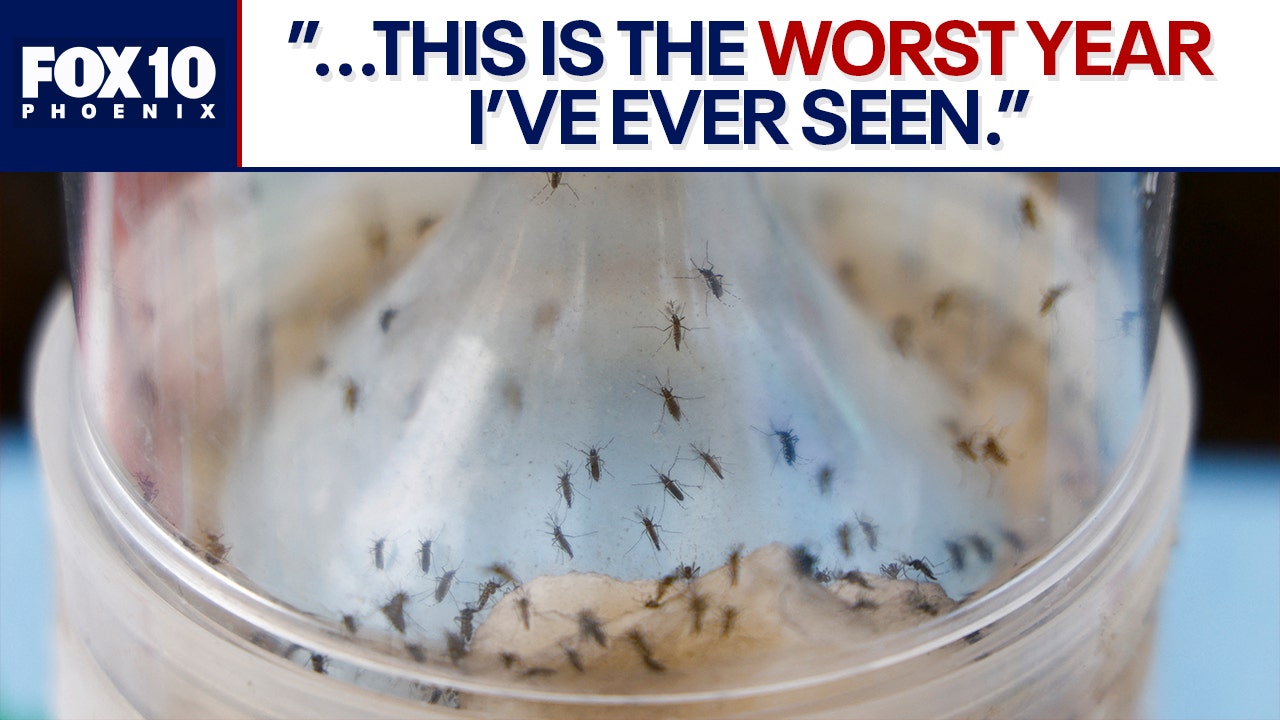 Mosquitoes: What you can do to keep them away