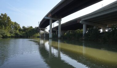 Did you know someone who was found dead in Houston's bayous?