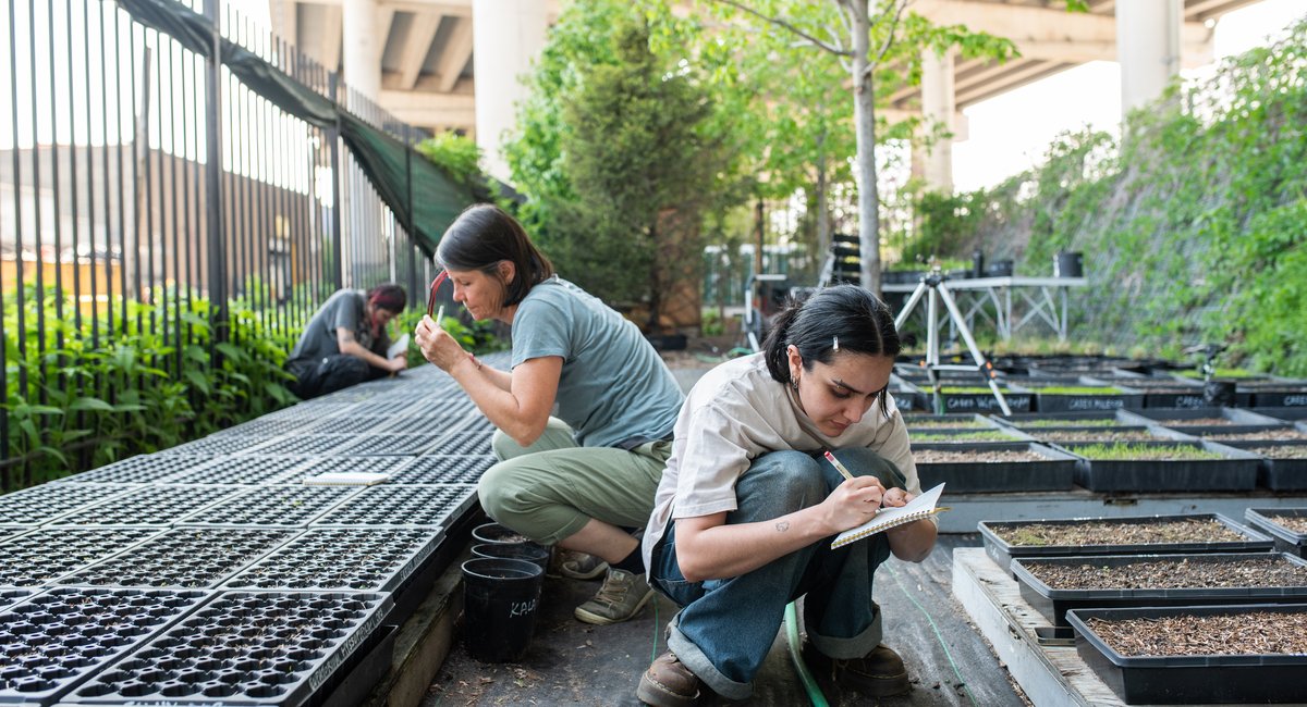In a filthy corner of North Brooklyn, a plant nursery thrives