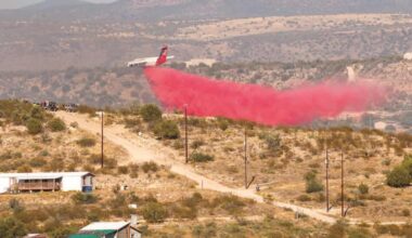 DFFM to begin prescribed burns state-wide