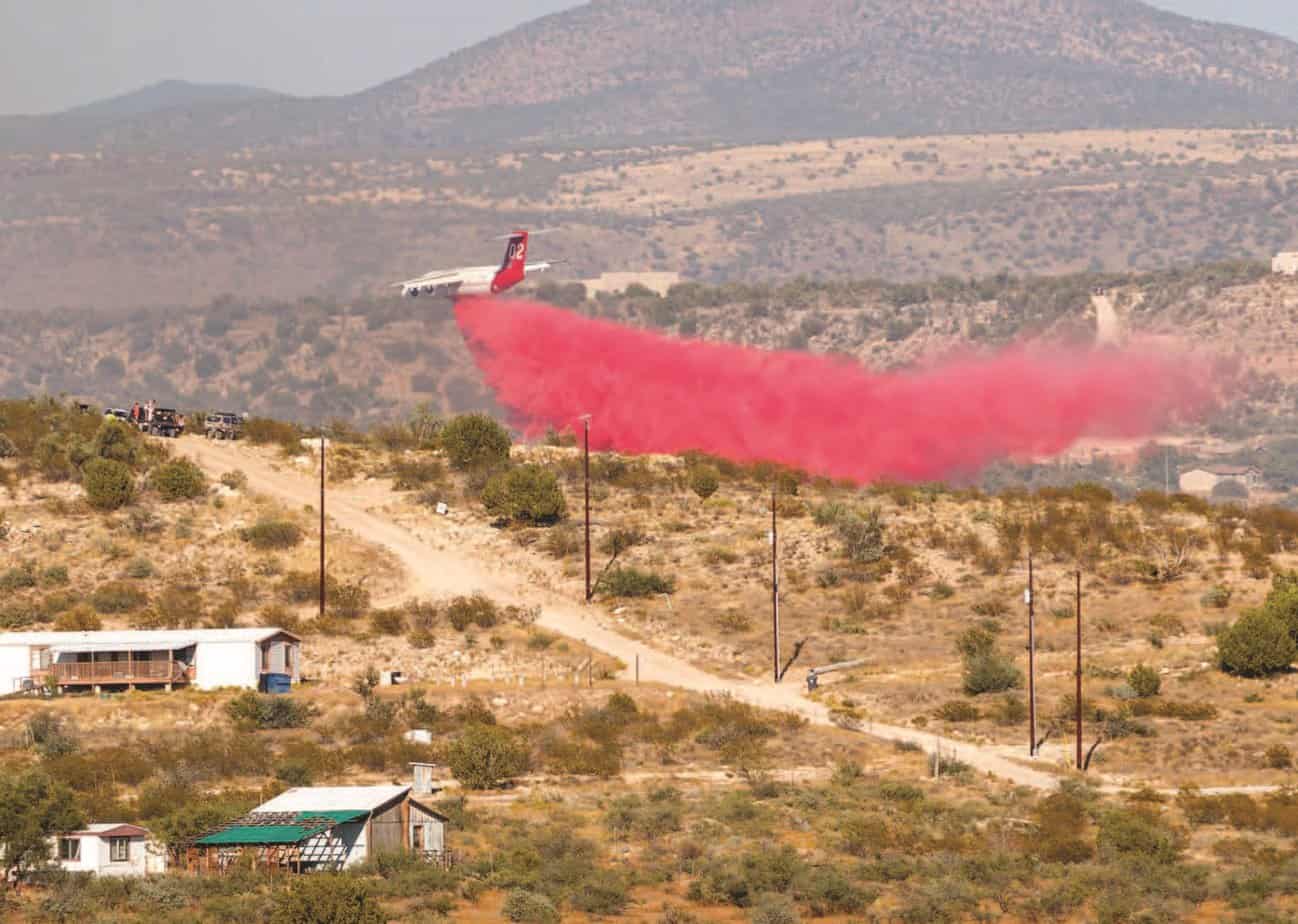 DFFM to begin prescribed burns state-wide