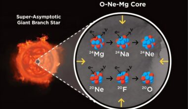 Exploring how dark matter alters electron-capture supernovae and the birth of neutron stars