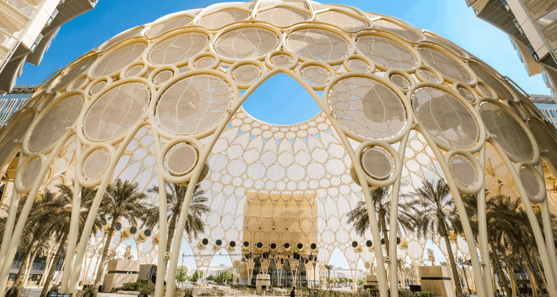 Here are the 16 Founders Who Will Be Competing in 'The Final Pitch - Dubai' This November