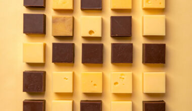 How missing nutrients rewire fly brains to seek out beneficial microbes