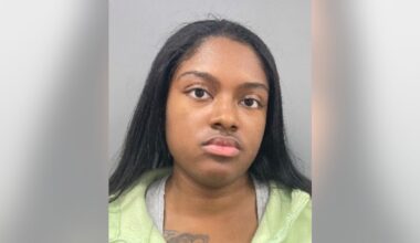 Suburban Chicago woman charged in fatal I-57 hit-and-run crash